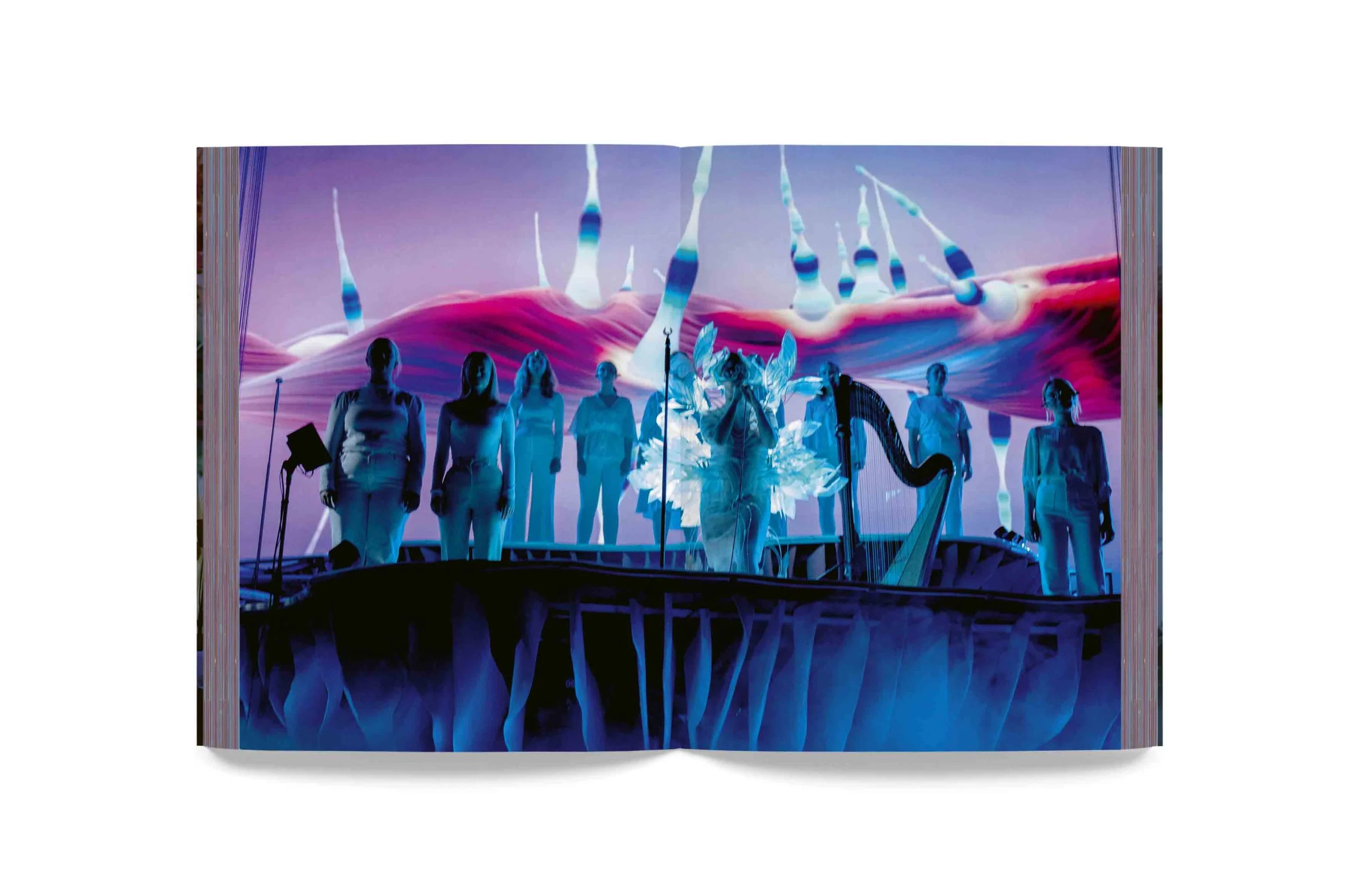 Björk - Cornucopia Book - Image 10