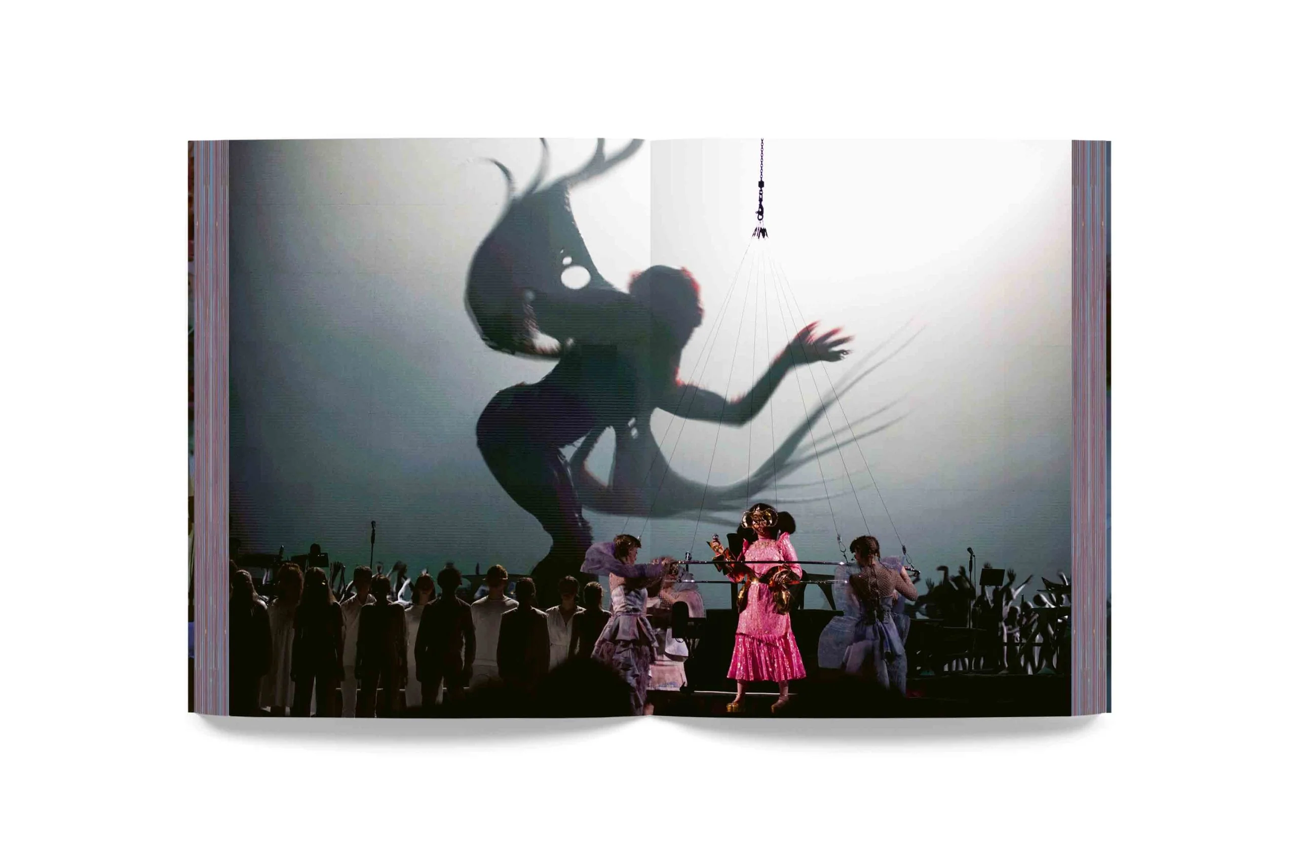 Björk - Cornucopia Book - Image 13