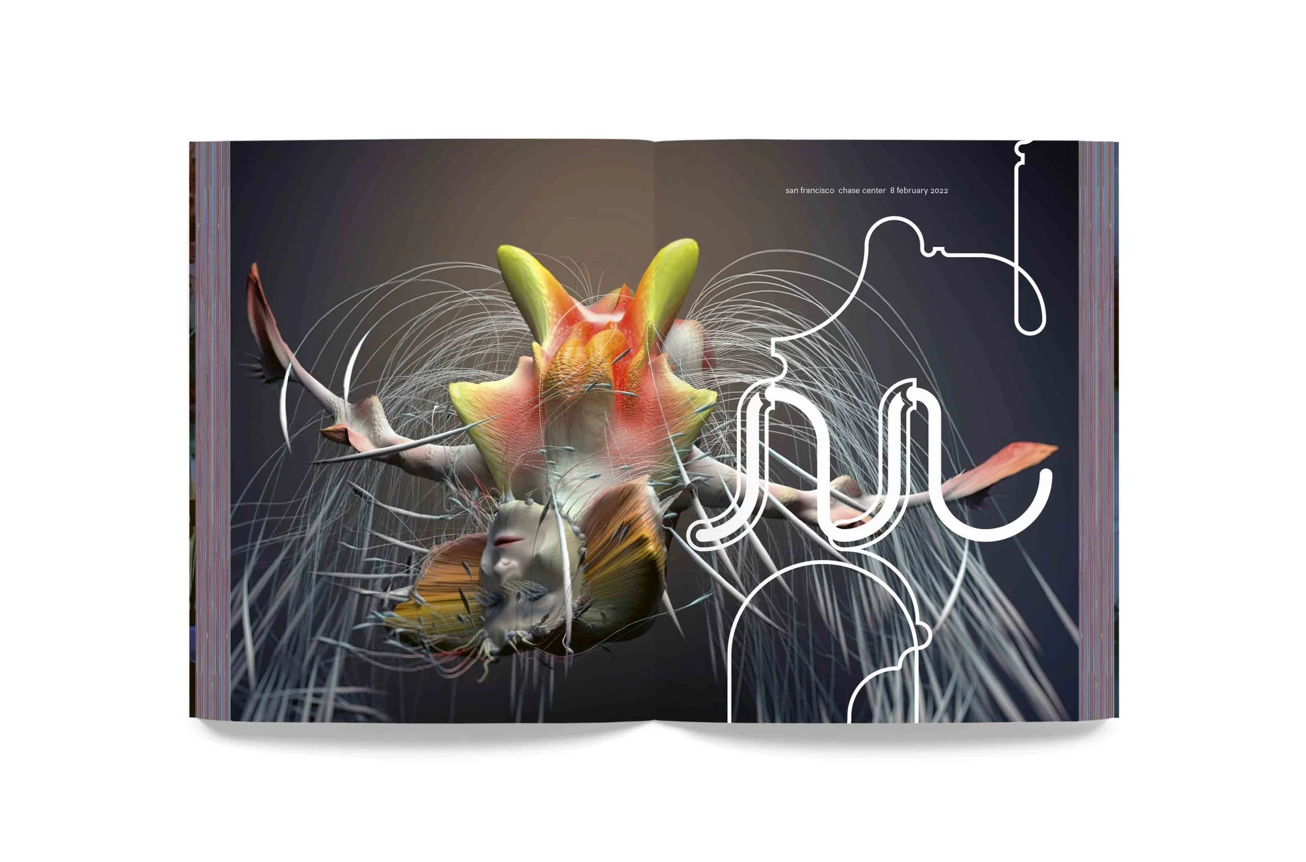 Björk - Cornucopia Book - Image 15