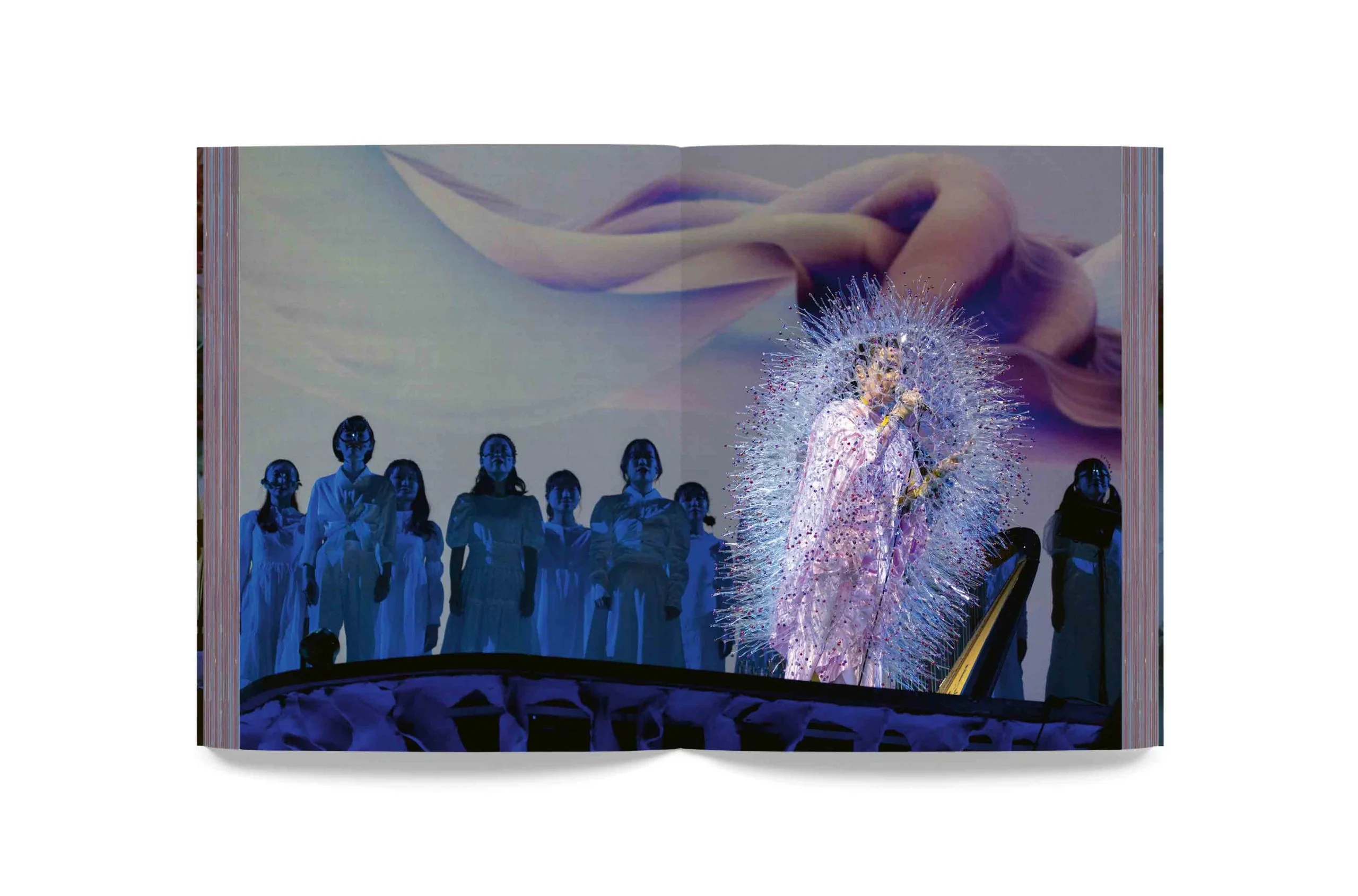 Björk - Cornucopia Book - Image 16
