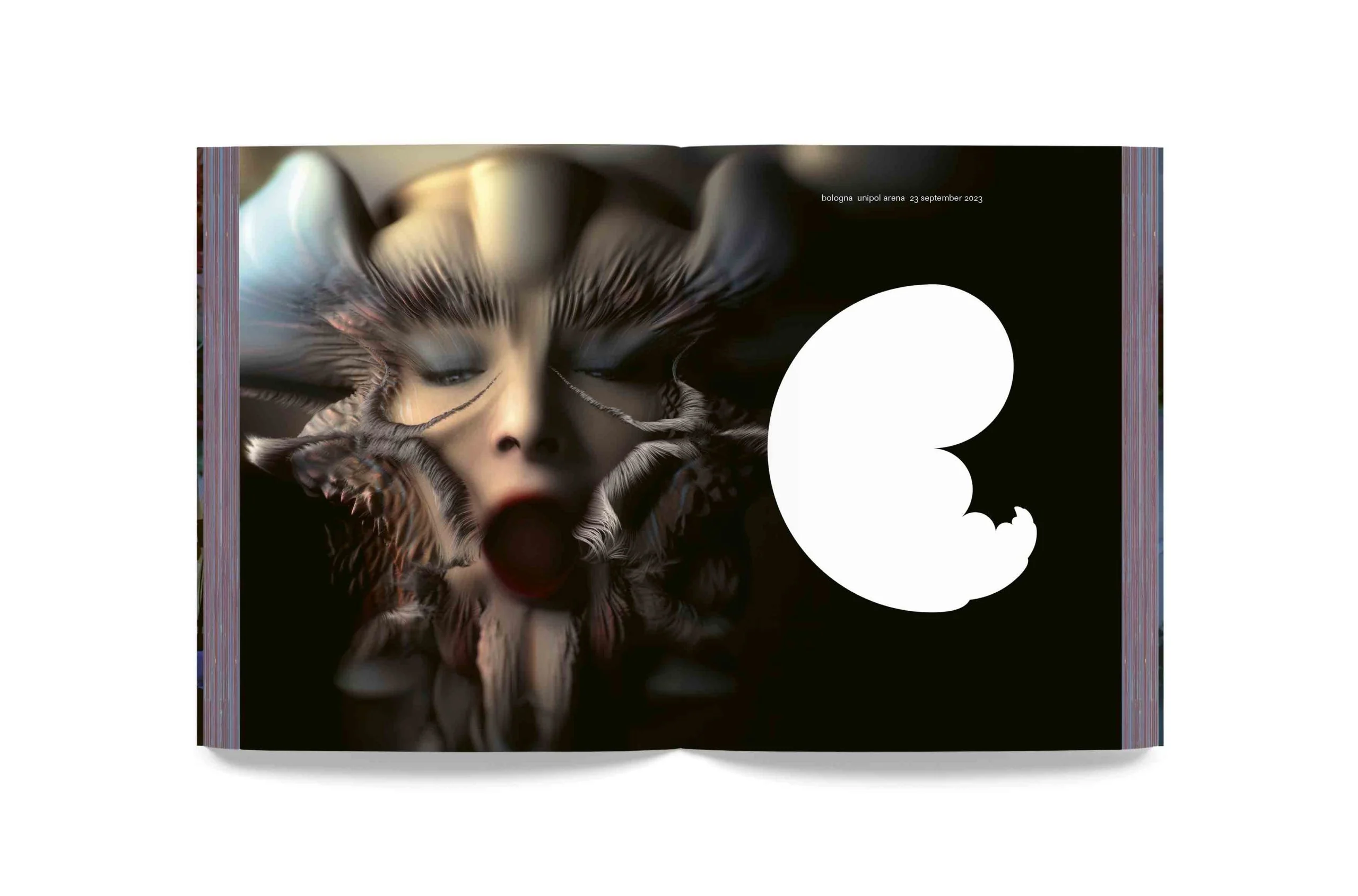 Björk - Cornucopia Book - Image 18