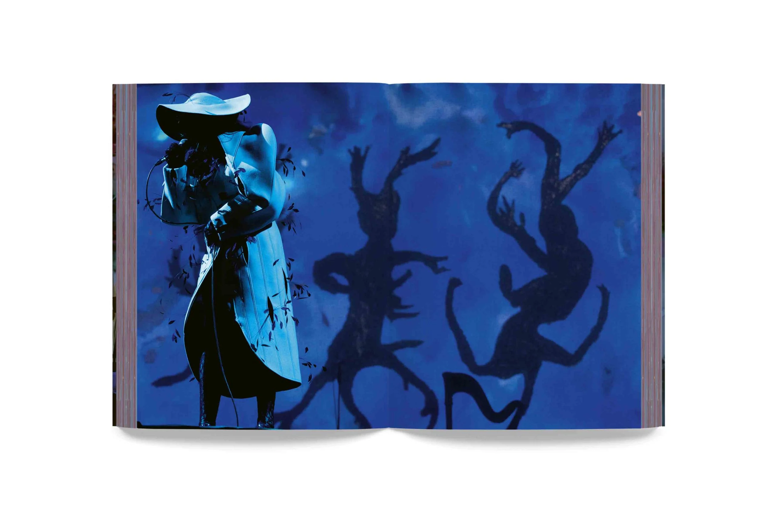 Björk - Cornucopia Book - Image 19