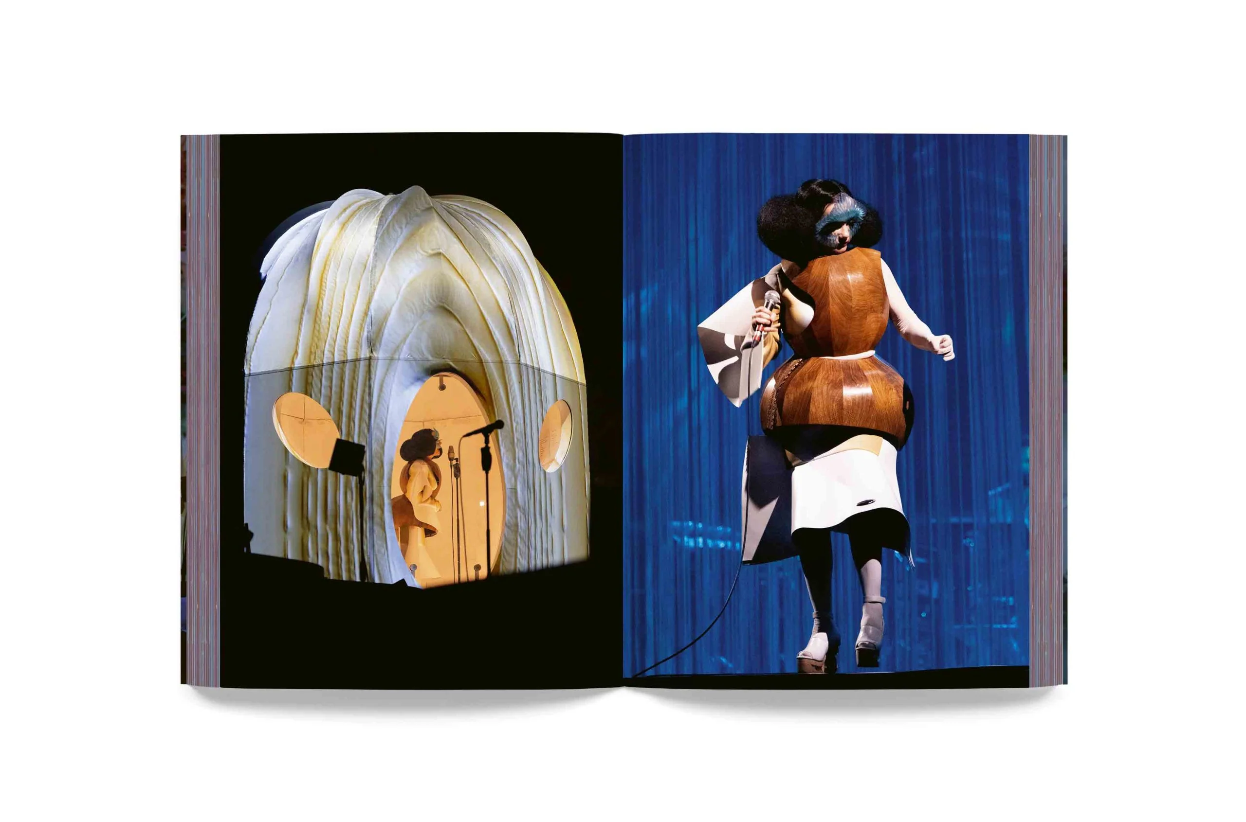 Björk - Cornucopia Book - Image 20