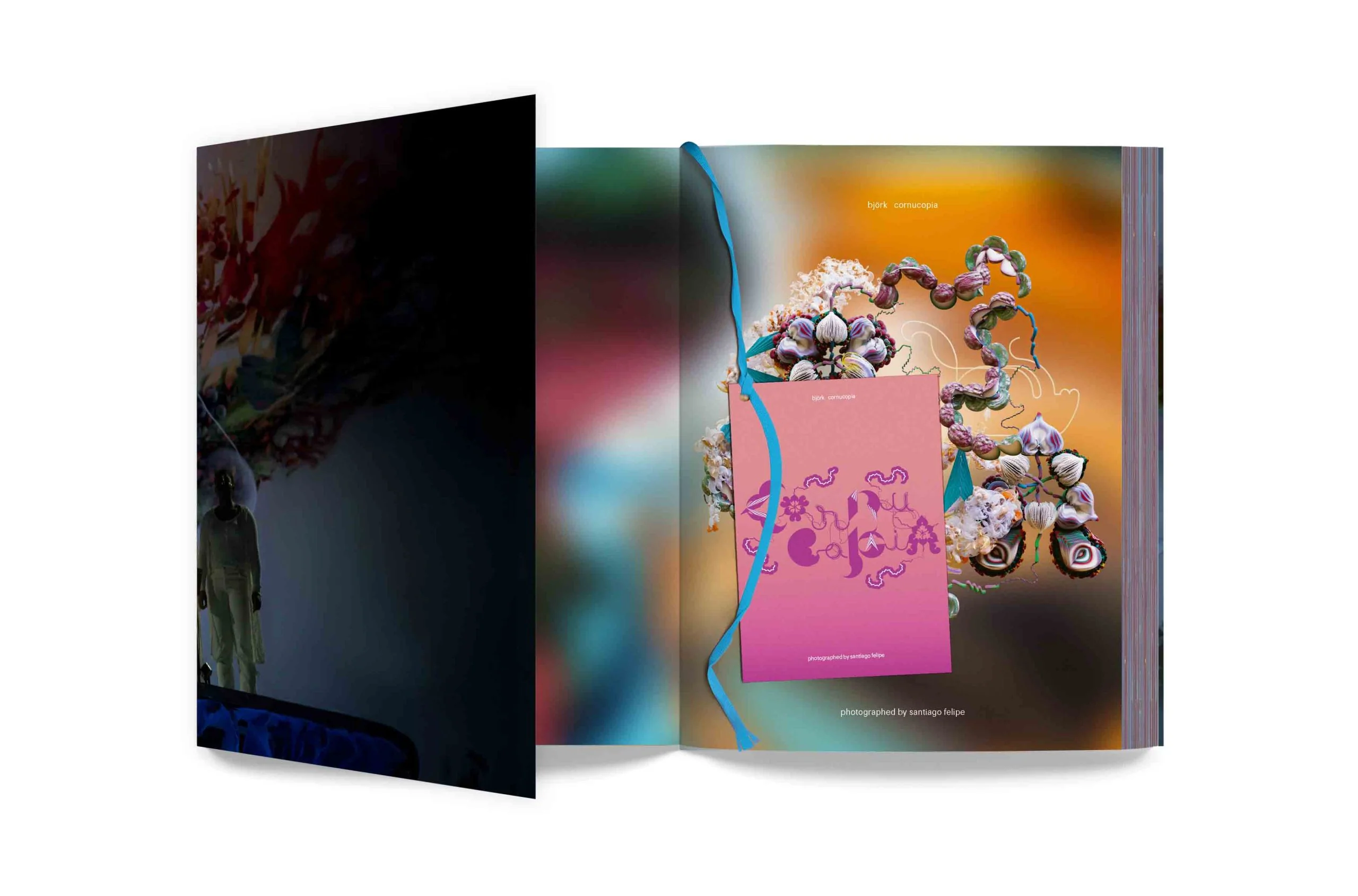 Björk - Cornucopia Book - Image 3