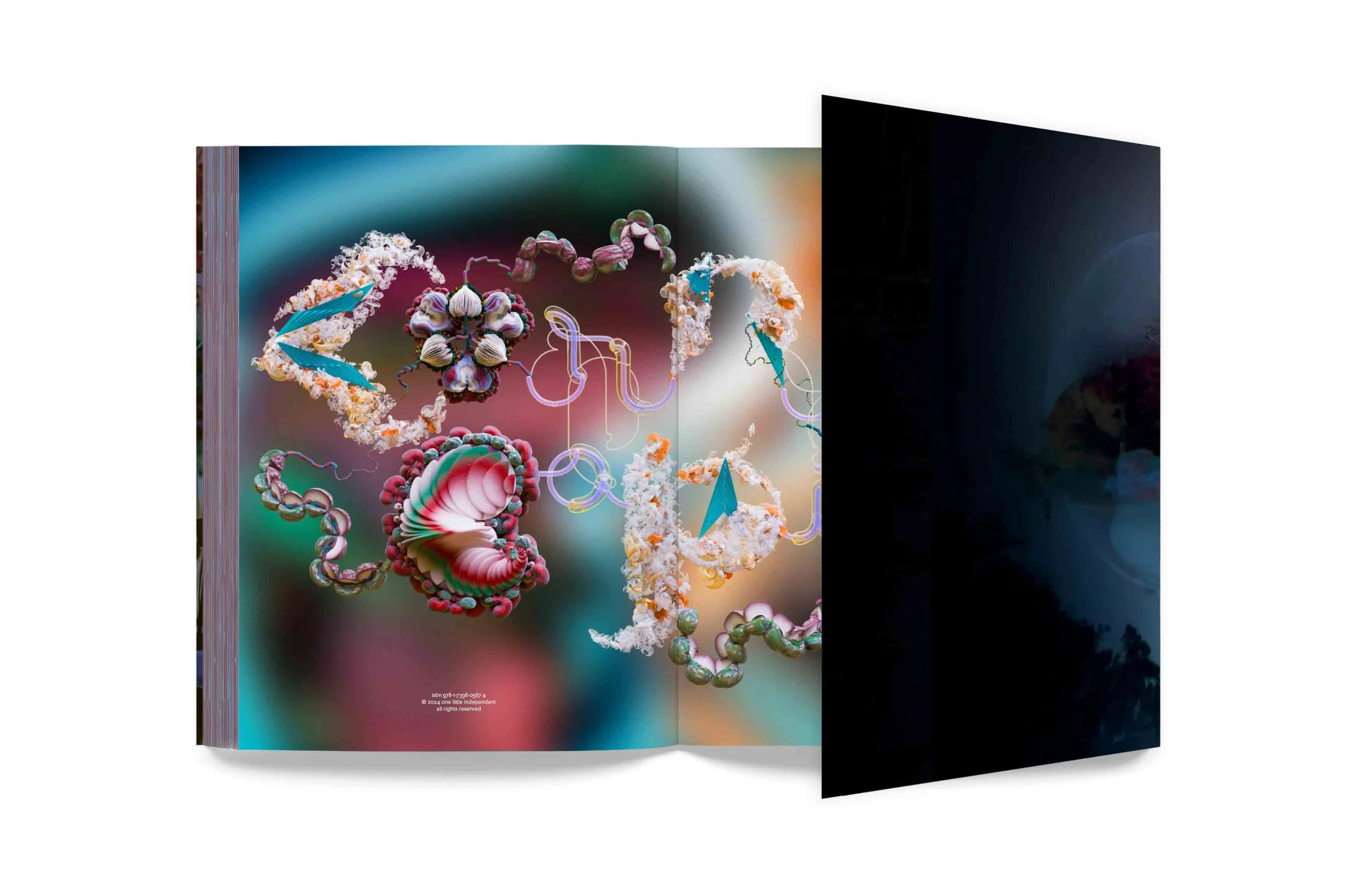 Björk - Cornucopia Book - Image 4
