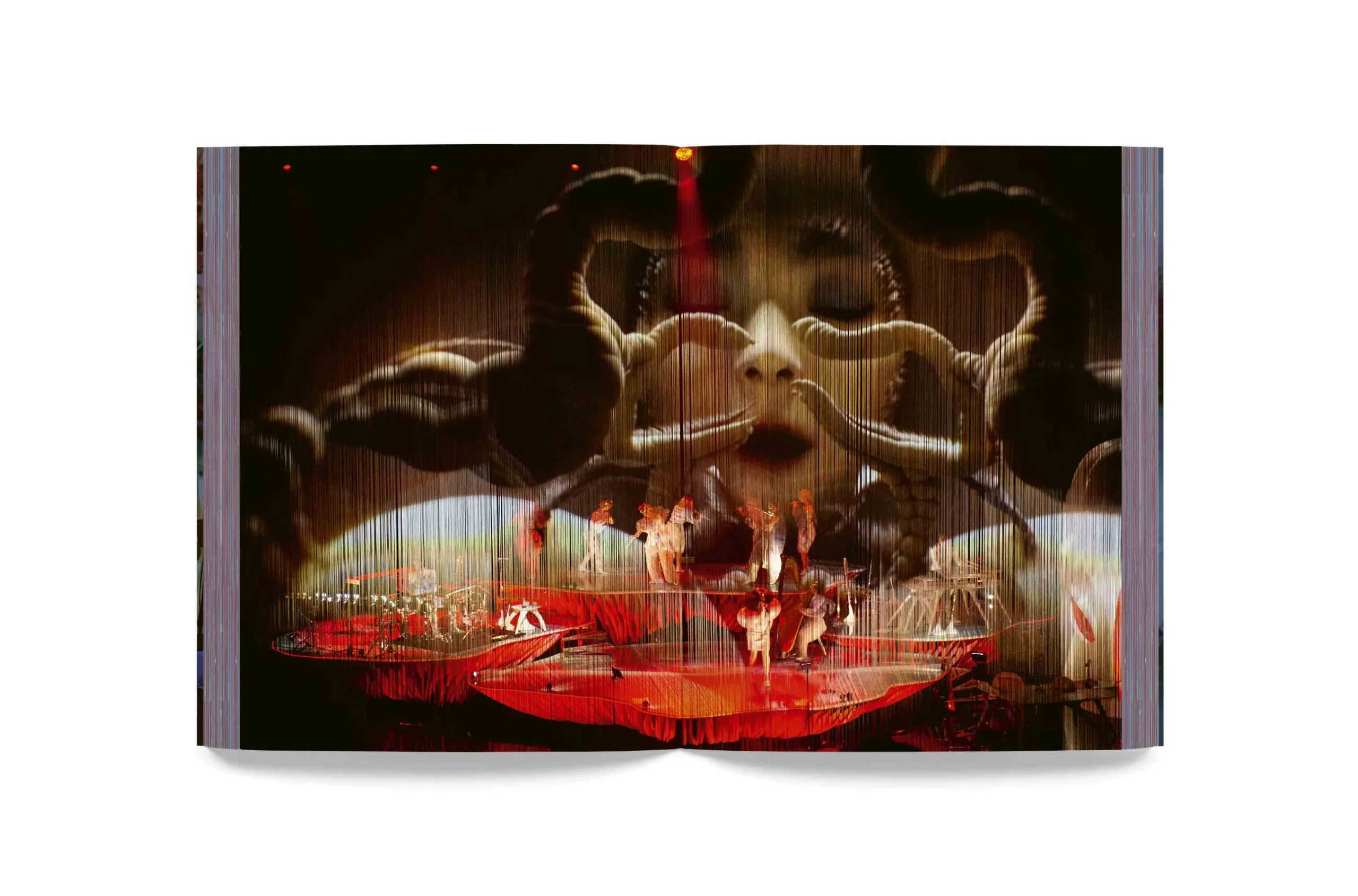 Björk - Cornucopia Book - Image 5