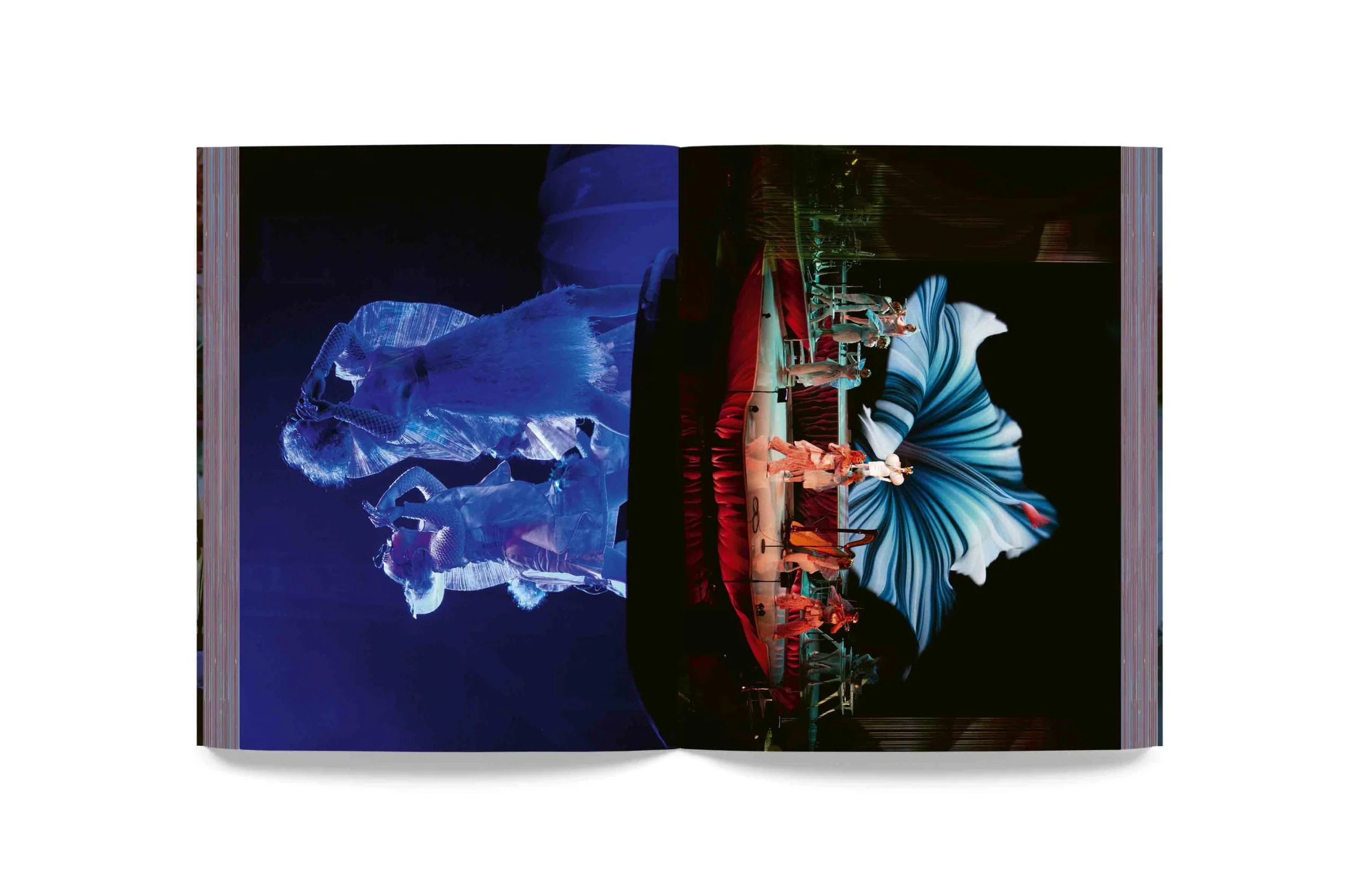 Björk - Cornucopia Book - Image 8