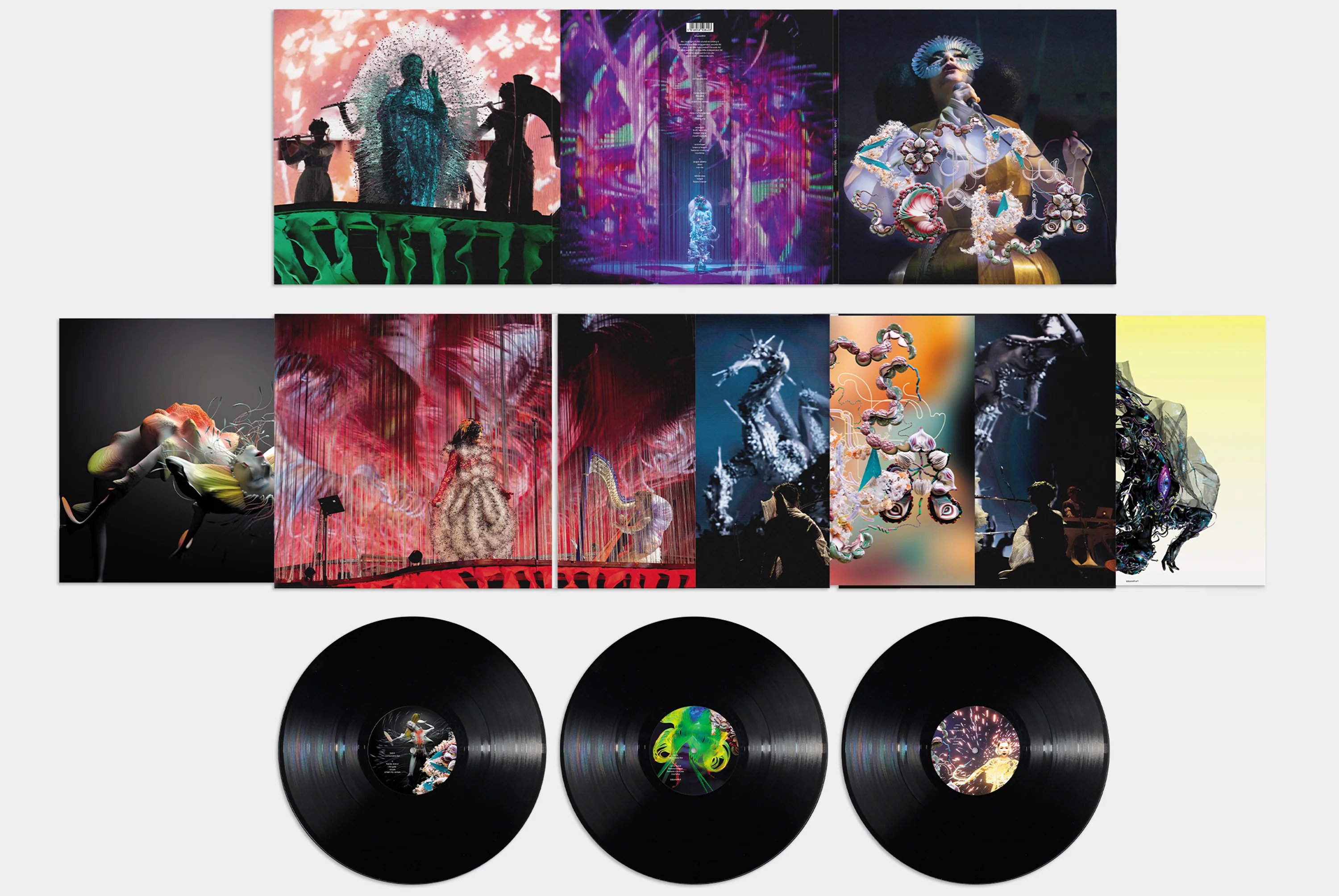 Björk - Cornucopia Live - Image 3