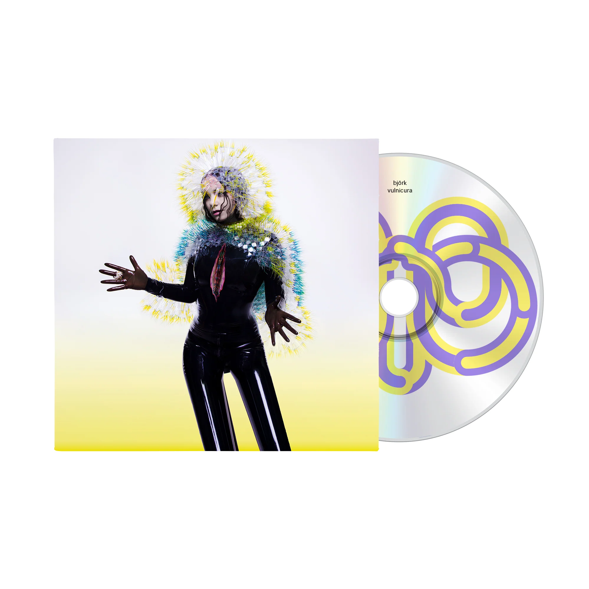 Björk - Vulnicura - Image 3