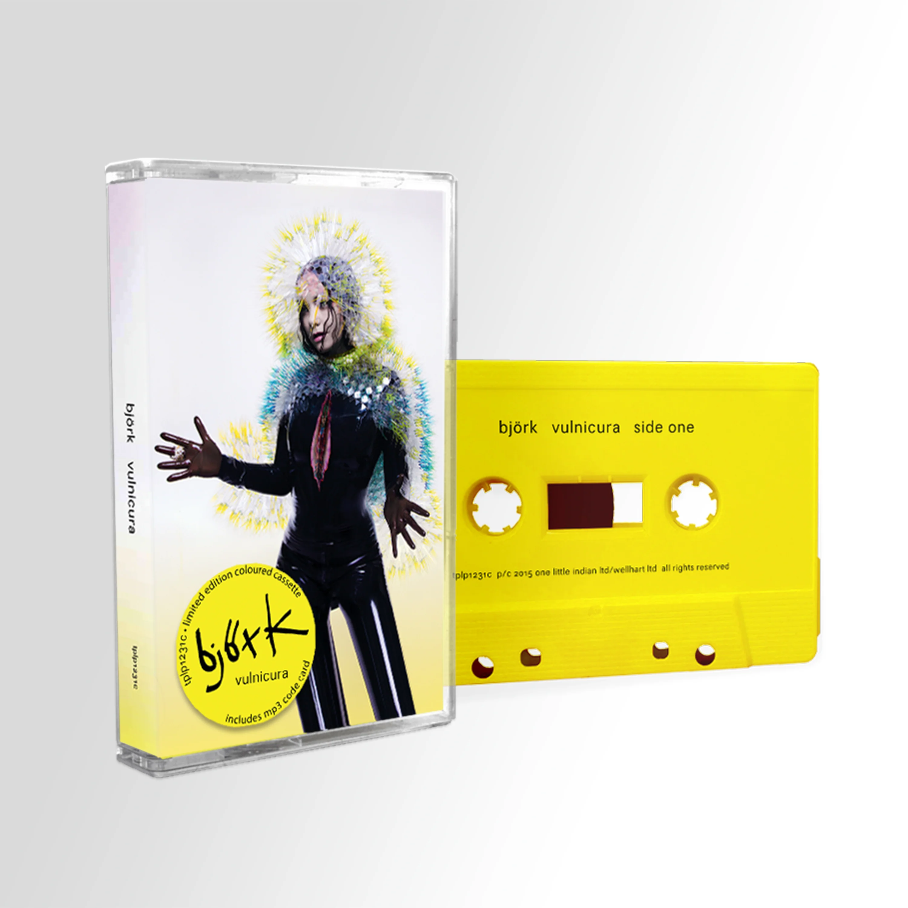 Björk - Vulnicura - Image 5