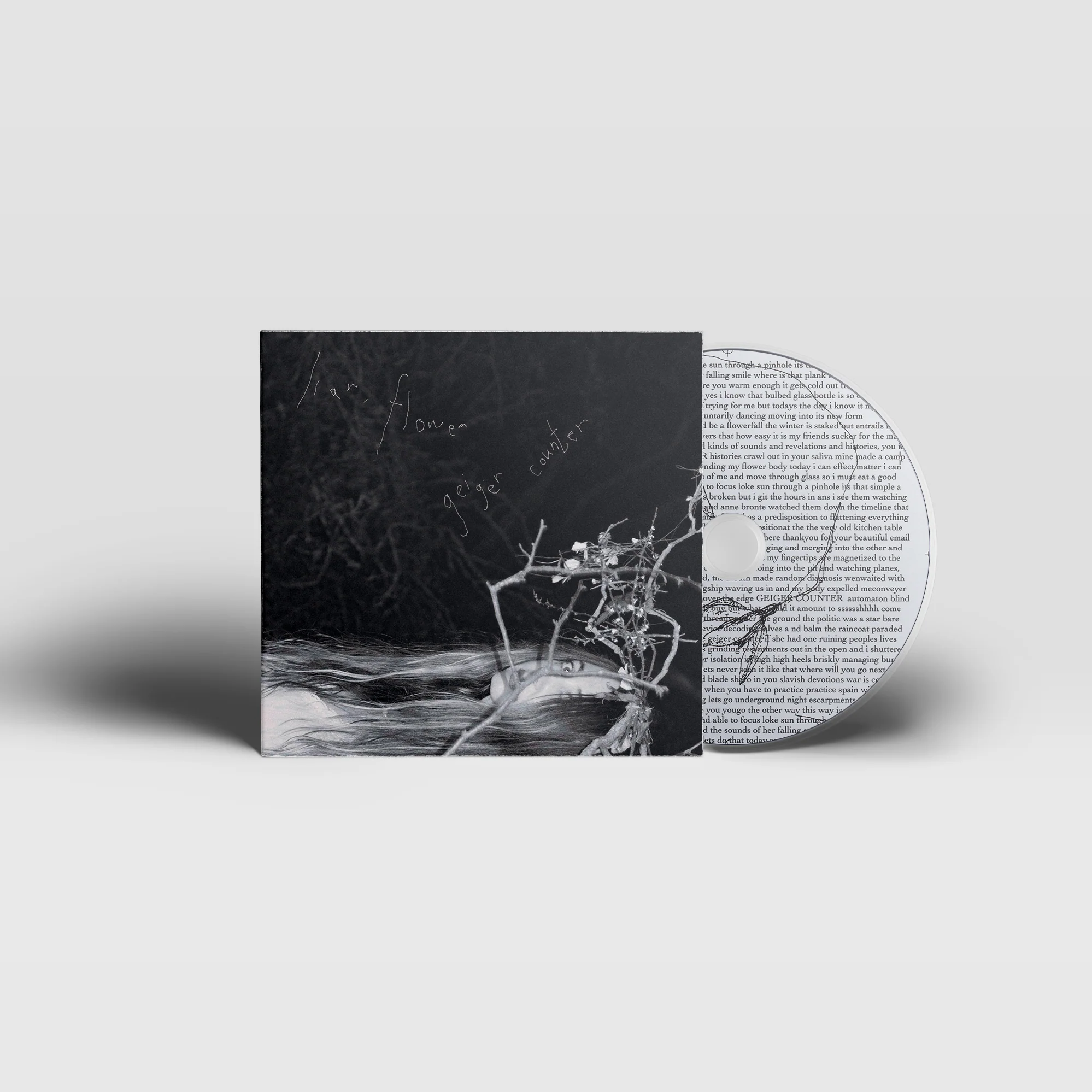 Liar, Flower - Geiger Counter (KatieJane Garside) - Image 4
