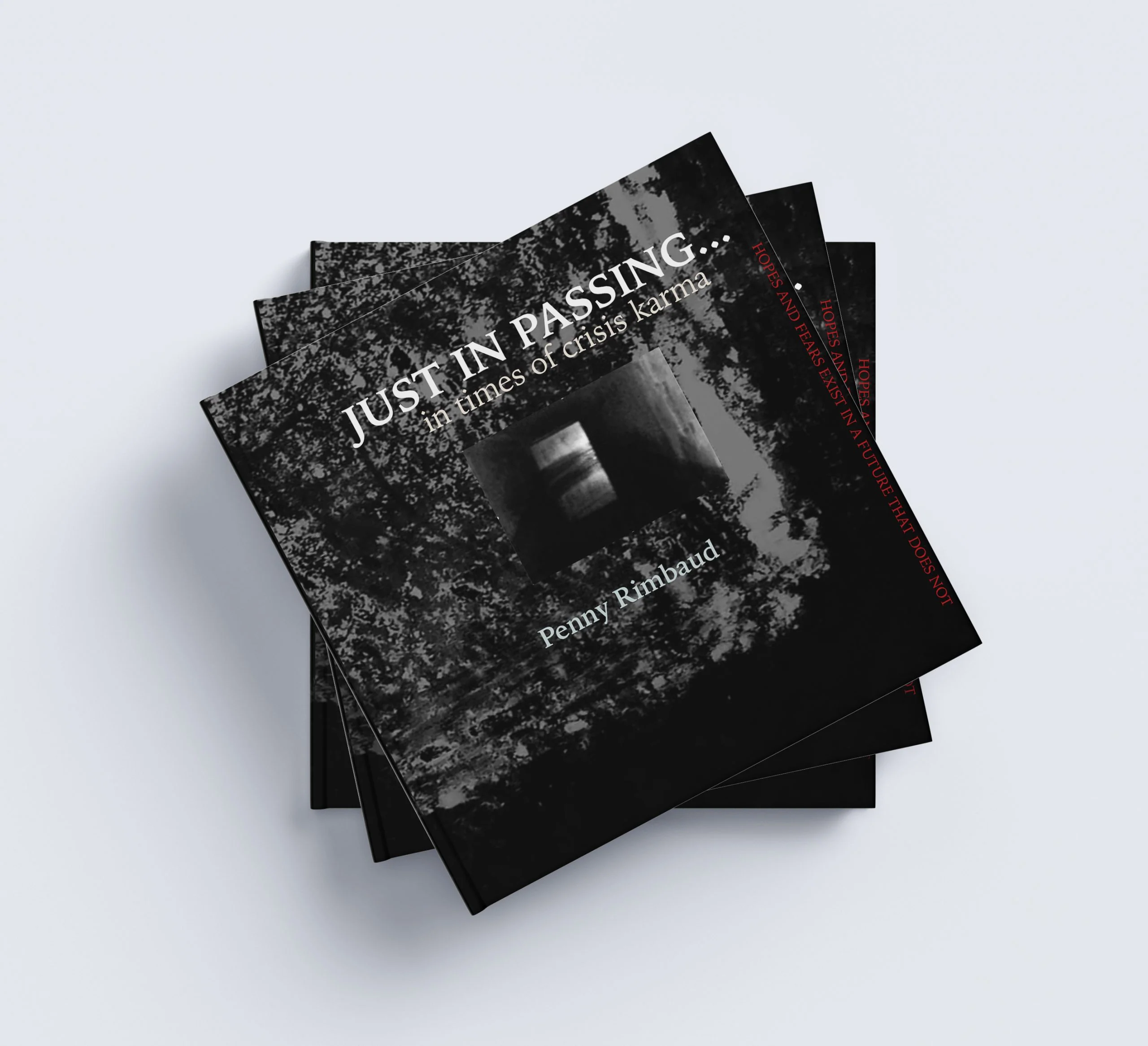 Penny Rimbaud - Just In Passing - Book - Image 3
