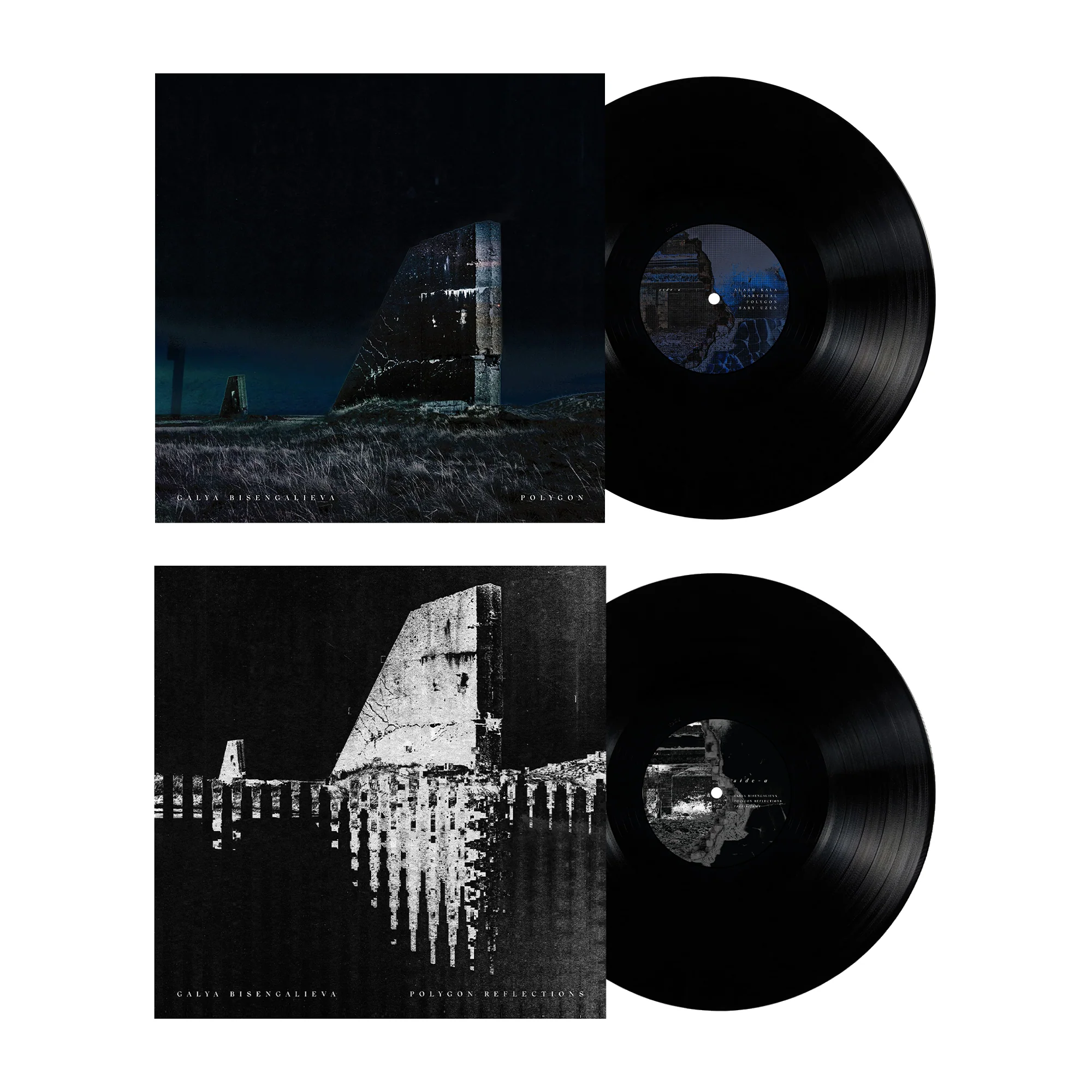 Polygon Vinyl Bundle - Image 2