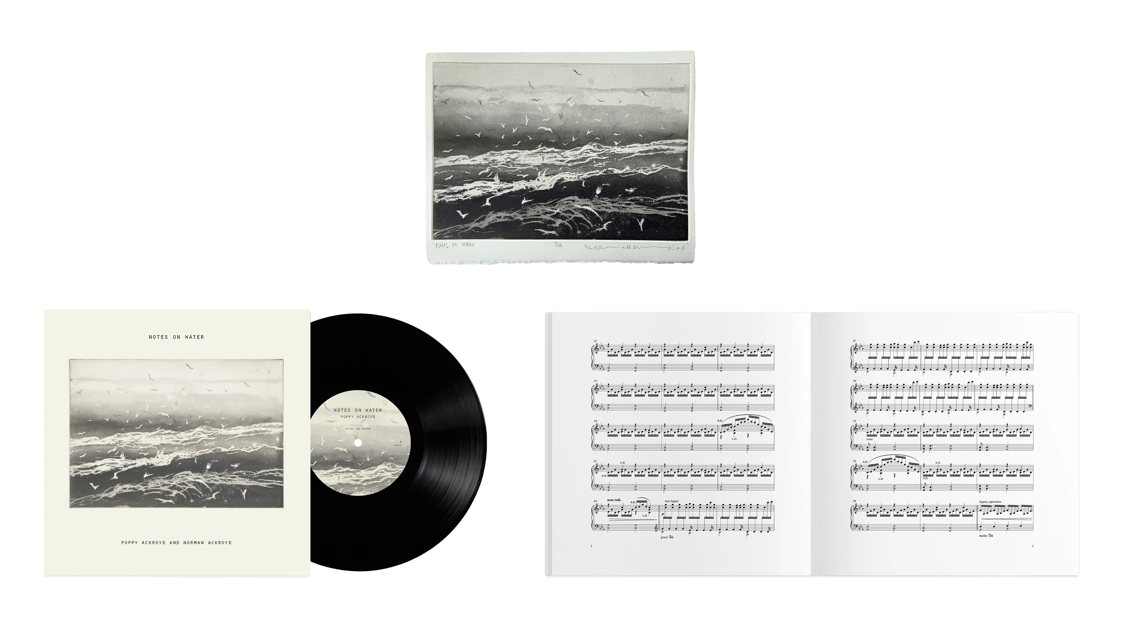 Poppy Ackroyd - Notes On Water - Image 3
